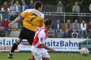 nfv09 energie cottbus 113