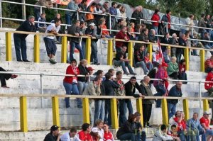 nfv09 energie cottbus 121